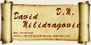David Milidragović vizit kartica